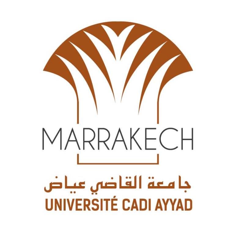 Cadi Ayyad University