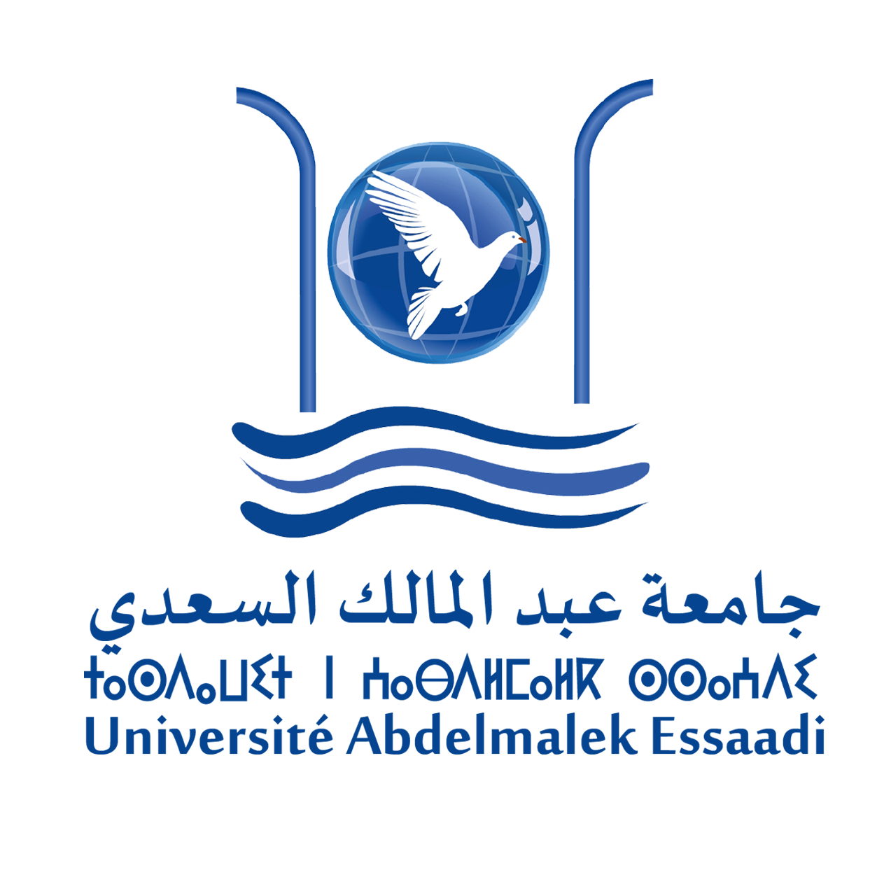 Abdelmalek Essaadi University